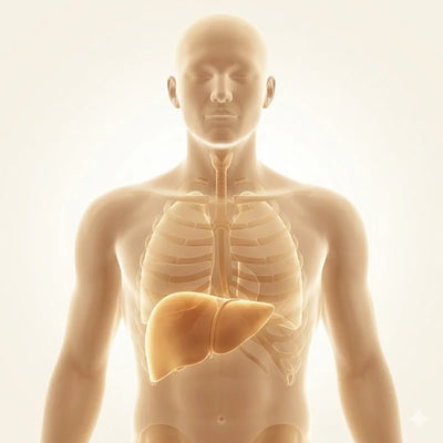 Fatty Liver & Glutathione Support