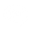 Clears Brain Fog