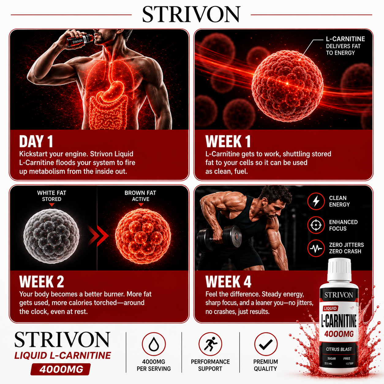 Strivon L-Carnitine 4000mg Liquid