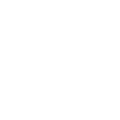 Fatty Liver Support